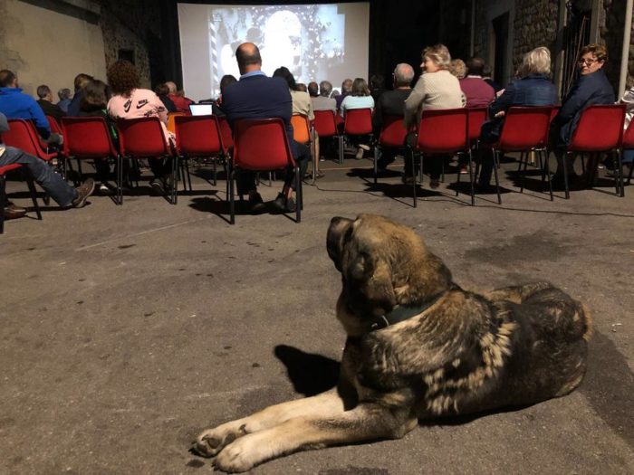 Cine-al-aire-libre